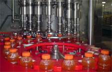 Alaga Syrup